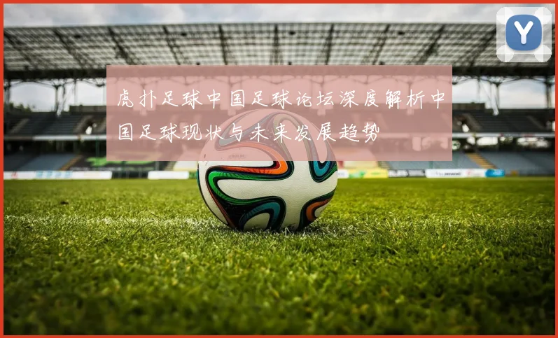 虎扑足球中国足球论坛深度解析中国足球现状与未来发展趋势