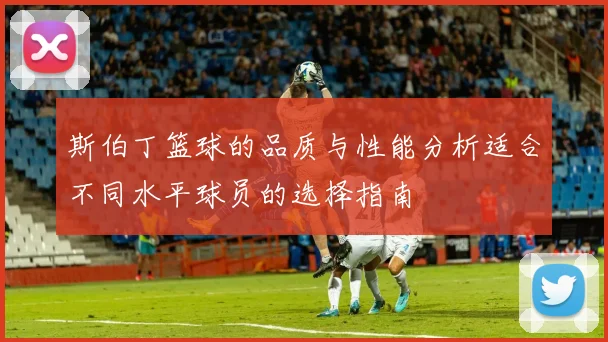 斯伯丁篮球的品质与性能分析适合不同水平球员的选择指南