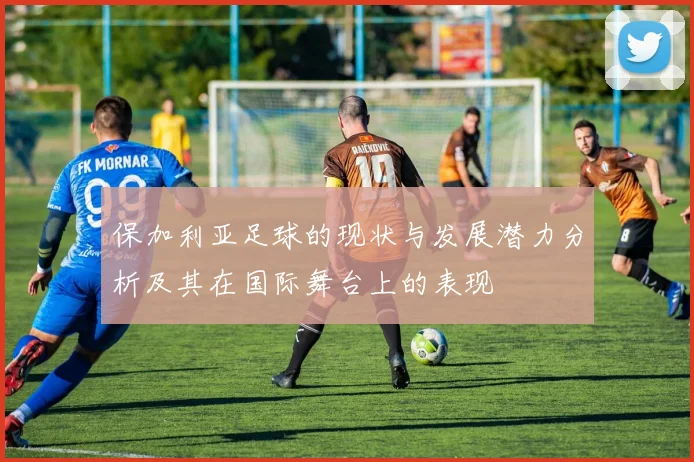 保加利亚足球的现状与发展潜力分析及其在国际舞台上的表现