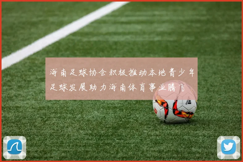 海南足球协会积极推动本地青少年足球发展助力海南体育事业腾飞