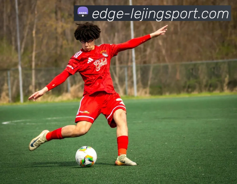 乐竞体育APP服务体系